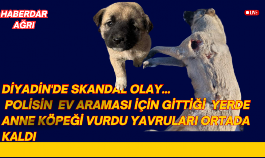 DİYADİN'DE SKANDAL OLAY..