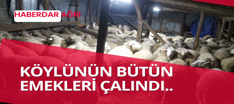  KÖYLÜNÜN EMEKLERİ ÇALINDI 