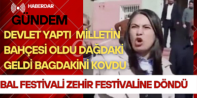 Dağdaki geldi bagdakini kovdu 