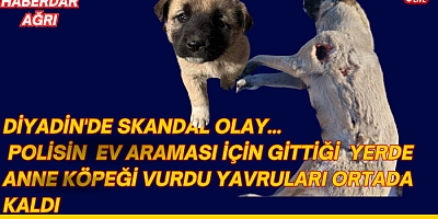 DİYADİN'DE SKANDAL OLAY..
