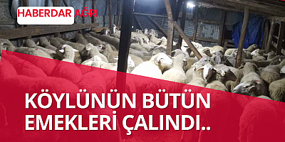  KÖYLÜNÜN EMEKLERİ ÇALINDI 