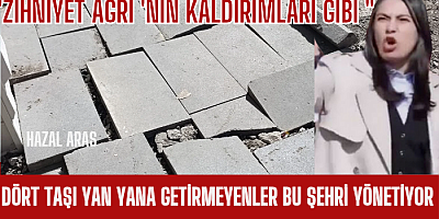 MAYIN TARLASI KALDIRIMLAR..!