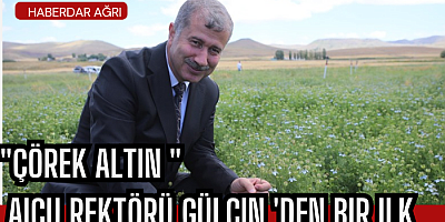 Rektör Gülçin 'den çörek altın!